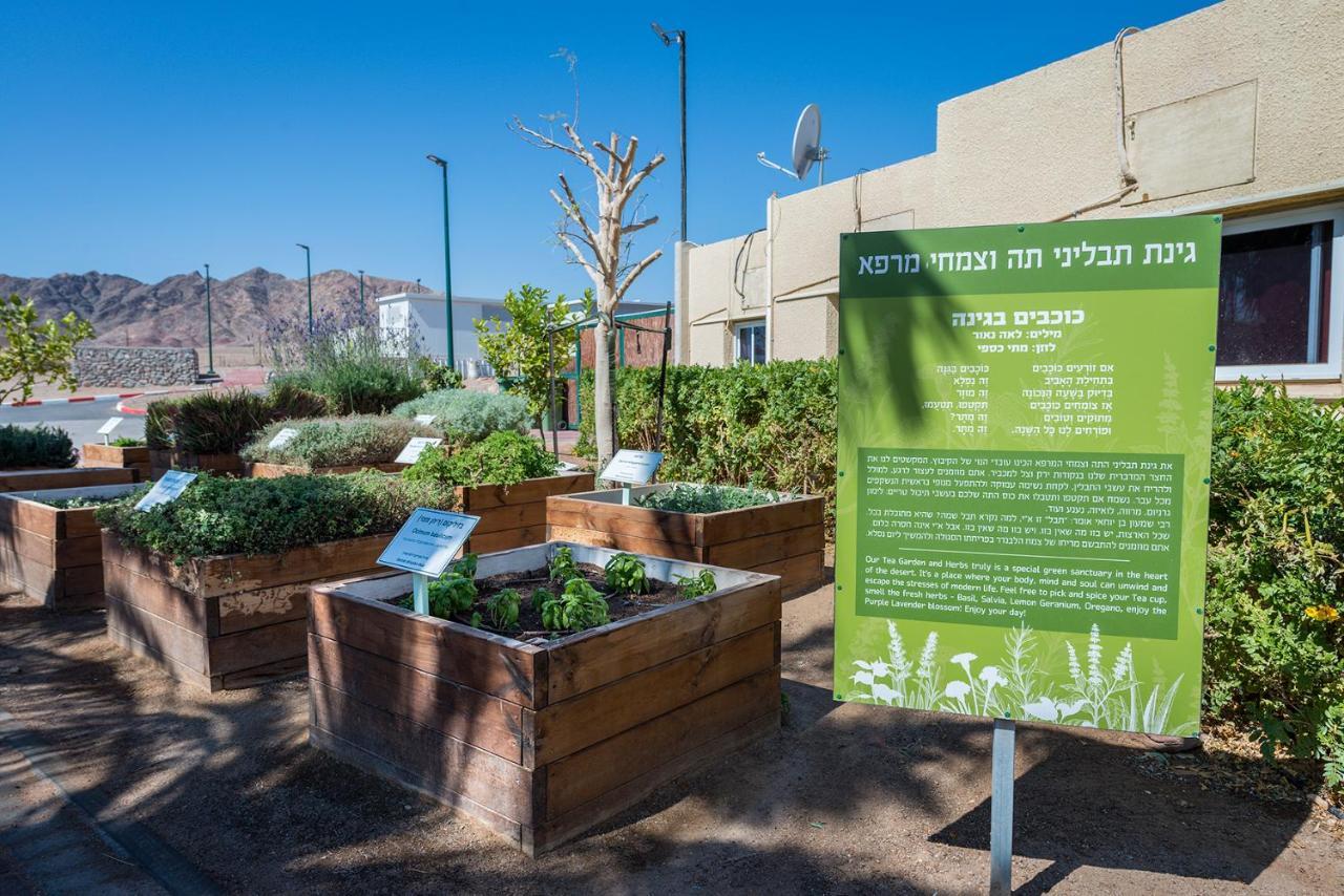 Eilot Kibbutz Country Lodging Eilat Exteriör bild