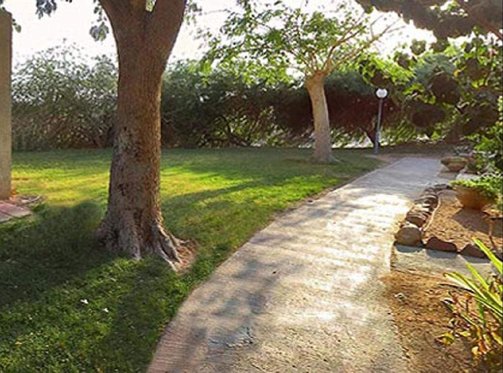 Eilot Kibbutz Country Lodging Eilat Exteriör bild